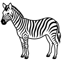 Minimalist Zebra Line Art Vector