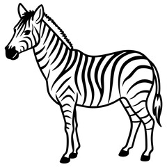 Minimalist Zebra Line Art Vector