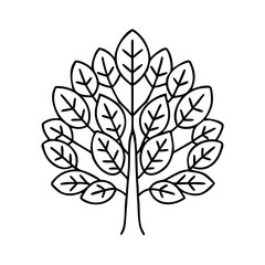 ash tree icon, ash tree line art - simple line art of ash tree, perfect for ash tree logos and icons