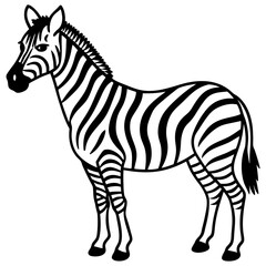 Minimalist Zebra Line Art Vector