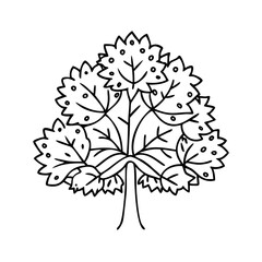 chestnut tree icon, chestnut tree line art - simple line art of chestnut tree, perfect for chestnut tree logos and icons