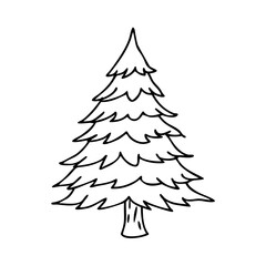 douglas fir tree icon, douglas fir tree line art - simple line art of douglas fir tree, perfect for douglas fir tree logos and icons