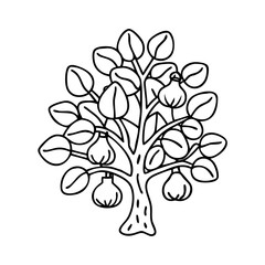 fig tree icon, fig tree line art - simple line art of fig tree, perfect for fig tree logos and icons