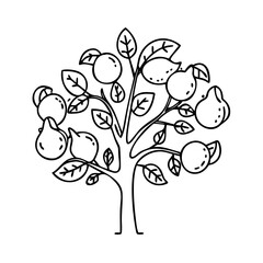 lemon tree icon, lemon tree line art - simple line art of lemon tree, perfect for lemon tree logos and icons