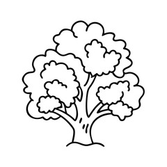 oak tree icon, oak tree line art - simple line art of oak tree, perfect for oak tree logos and icons