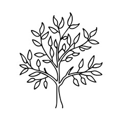 olive tree icon, olive tree line art - simple line art of olive tree, perfect for olive tree logos and icons