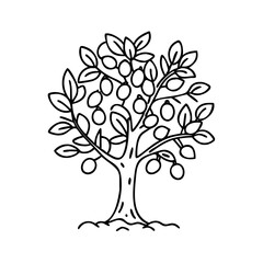 Obraz premium olive tree icon, olive tree line art - simple line art of olive tree, perfect for olive tree logos and icons