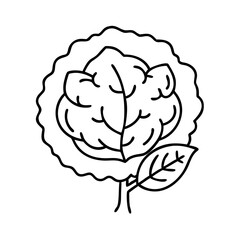 walnut tree icon, walnut tree line art - simple line art of walnut tree, perfect for walnut tree logos and icons