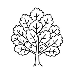 alder tree icon, alder tree line art - simple line art of alder tree, perfect for alder tree logos and icons