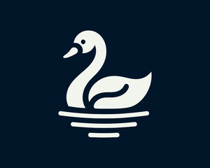 white swan on the water © Mamun360