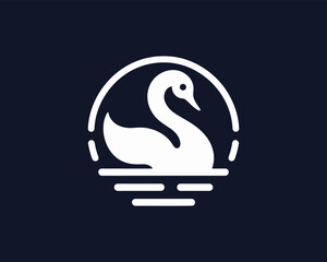 black and white swan