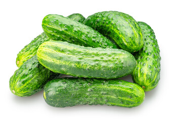 Fresh sweet small cucumbers isolated on white background. Cucumbers that are used to pickling or slicing.