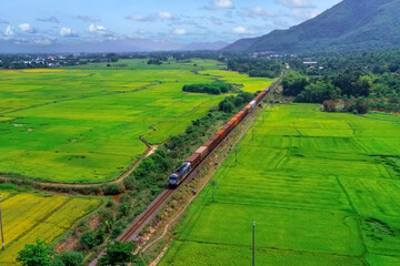 Freight train diesel locomotive with container wagons follows the railway track among rice green fields on the plain of Asian countries, aerial view