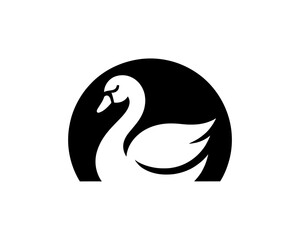 Obraz premium Swan Silhouette Logo Vector for Branding and Design