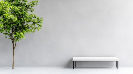Obraz premium Minimalist interior with a single tree and bench. Empty, bright, modern space