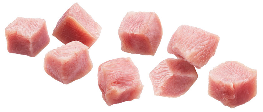 Set of different raw turkey meat pieces levitating in air on white. File contains clipping paths.