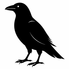 Sleek Black Crow Silhouette
