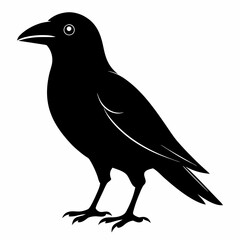 Sleek Black Crow Silhouette