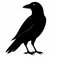 Sleek Black Crow Silhouette