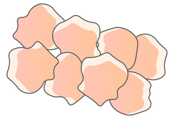 Packaged Chicken Thigh (Illustration)