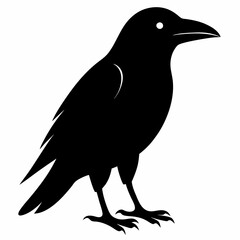 Sleek Black Crow Silhouette