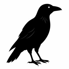 Sleek Black Crow Silhouette