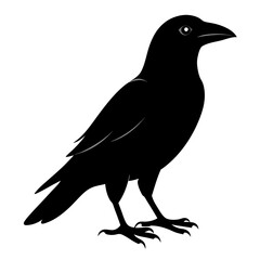 Sleek Black Crow Silhouette