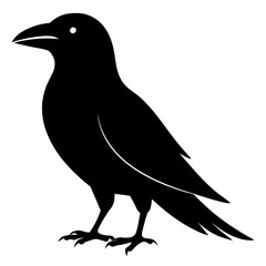 Sleek Black Crow Silhouette