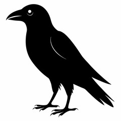 Sleek Black Crow Silhouette