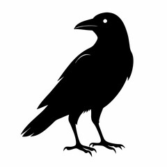 Sleek Black Crow Silhouette