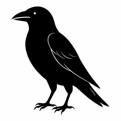 Sleek Black Crow Silhouette
