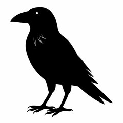 Sleek Black Crow Silhouette
