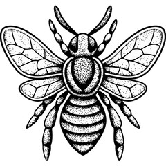 Bee Tattoo Vector
