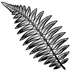 Fototapeta premium vector fern leaf silhouette