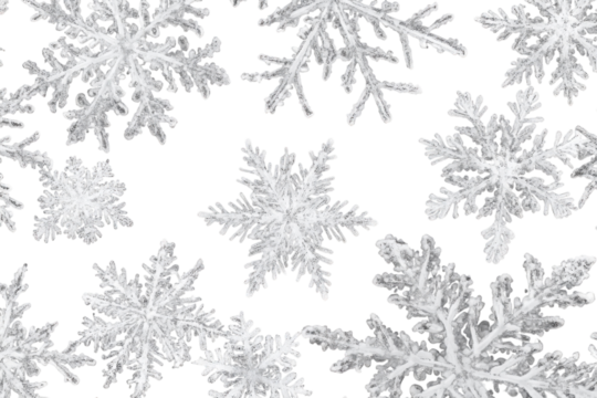 Intricate snowflakes winter wonderland black background detailed macro photography ice crystals