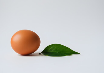 Brown Egg and Green Leaf on Neutral Surface with Minimal Organic Aesthetic