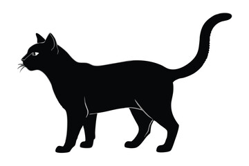 Black cat silhouette and vector illustration.