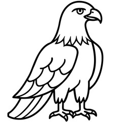Sleek Eagle Outline Vector Design