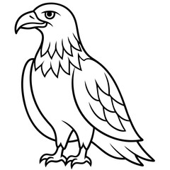 Sleek Eagle Outline Vector Design