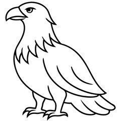 Sleek Eagle Outline Vector Design