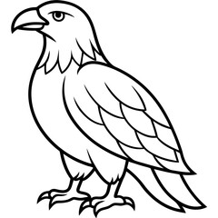 Sleek Eagle Outline Vector Design