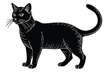 Black cat silhouette and vector illustration.