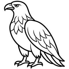 Sleek Eagle Outline Vector Design