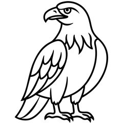 Sleek Eagle Outline Vector Design