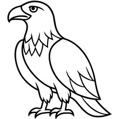 Sleek Eagle Outline Vector Design