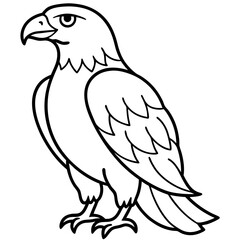 Sleek Eagle Outline Vector Design