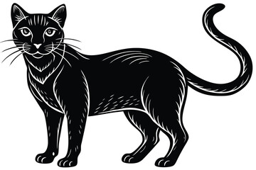 Black cat silhouette and vector illustration.