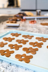 Chilled Gingerbread Cookies Ready for Baking