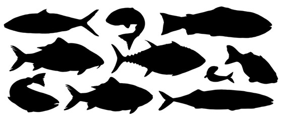 Vector set of fish silhouettes in black and white. Features various species like tuna, trout, and mackerel in simple, abstract cutout style. For logos, icons, seafood packaging and marine designs