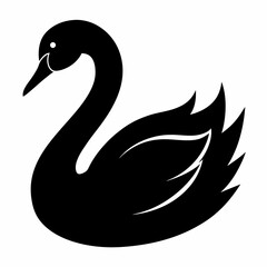 Stylish Black Swan Graphic Vector